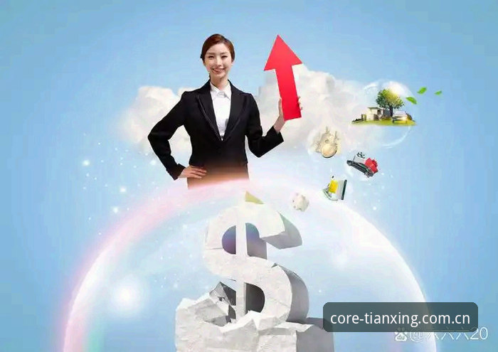 资深用户揭秘天行专业数据服务对比：从新手到高手的实战心得